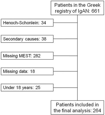 Validation of the International <mark class="highlighted">IgA Nephropathy</mark> Prediction Tool in the Greek Registry of <mark class="highlighted">IgA Nephropathy</mark>